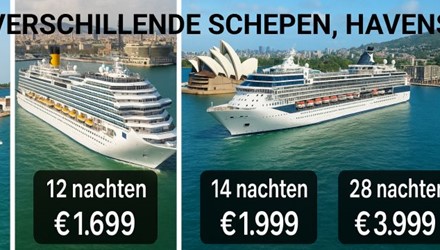 DIVERSE SCHEPEN 2026-2027